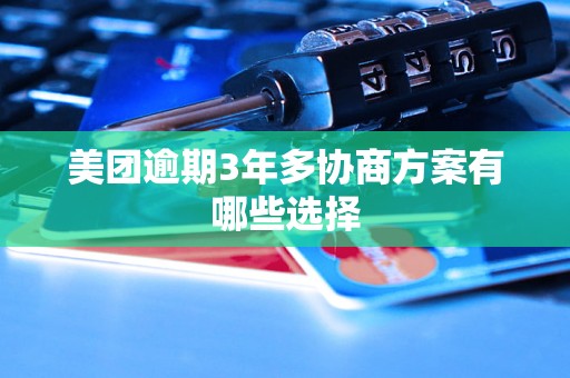 美团逾期3年多协商方案有哪些选择