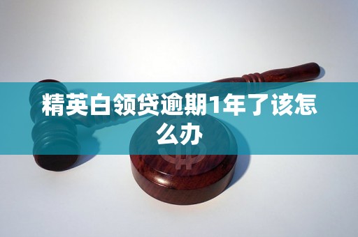 精英白领贷逾期1年了该怎么办