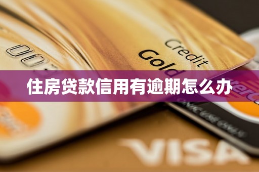 住房贷款信用有逾期怎么办 住房贷款信用有逾期怎么办