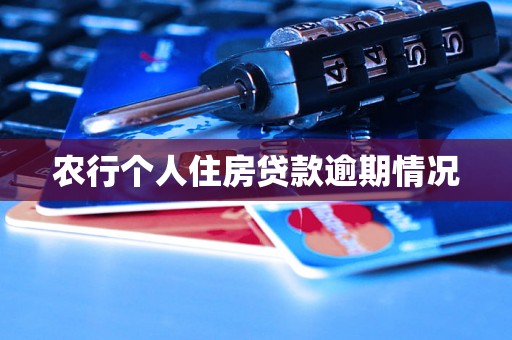 农行个人住房贷款逾期情况 农行个人住房贷款逾期情况