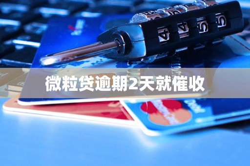 微粒贷逾期2天就催收