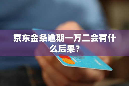 京东金条逾期一万二会有什么后果？