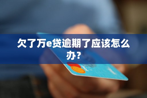 欠了万e贷逾期了应该怎么办？