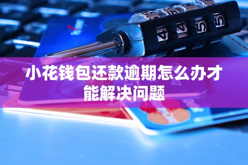 小花钱包还款逾期怎么办才能解决问题