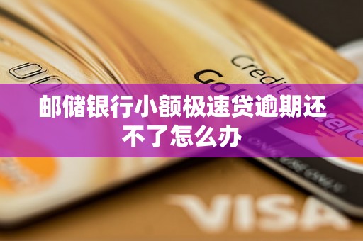 邮储银行小额极速贷逾期还不了怎么办