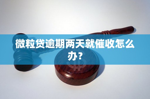 微粒贷逾期两天就催收怎么办？