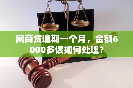 网商贷逾期一个月,金额6000多该如何处理? 网商贷逾期一个月,金额6000多该如何处理?
