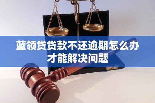 蓝领贷贷款不还逾期怎么办才能解决问题
