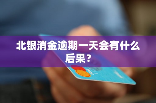北银消金逾期一天会有什么后果？