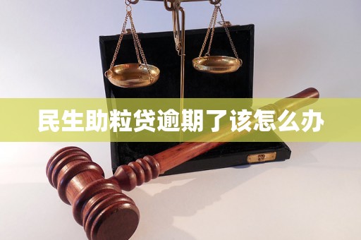 民生助粒贷逾期了该怎么办