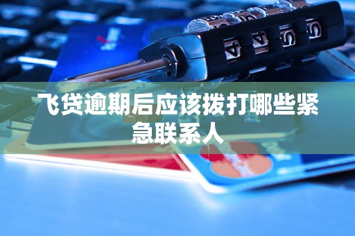 飞贷逾期后应该拨打哪些紧急联系人