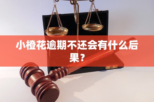 小橙花逾期不还会有什么后果？