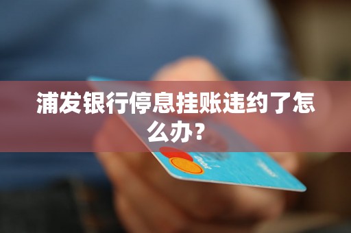 浦发银行停息挂账违约了怎么办？