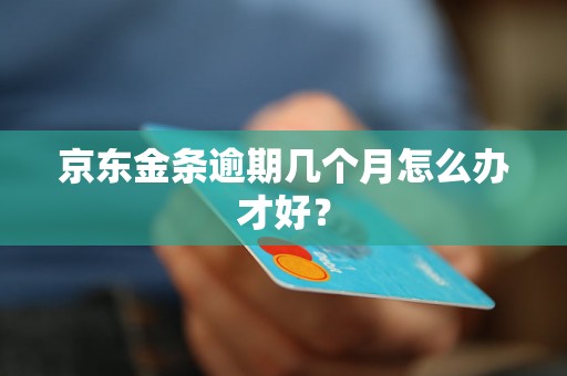京东金条逾期几个月怎么办才好？