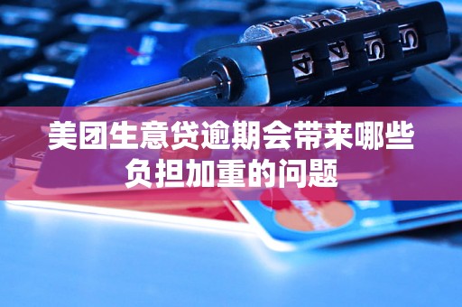 美团生意贷逾期会带来哪些负担加重的问题