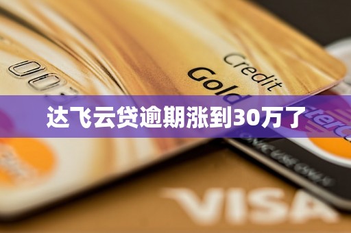 达飞云贷逾期涨到30万了