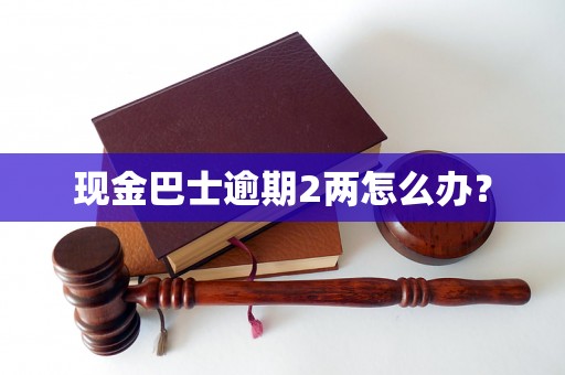 现金巴士逾期2两怎么办？