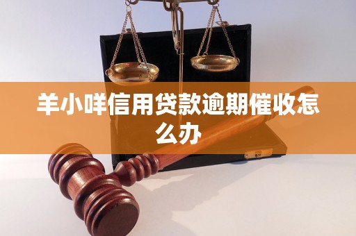 羊小咩信用贷款逾期催收怎么办