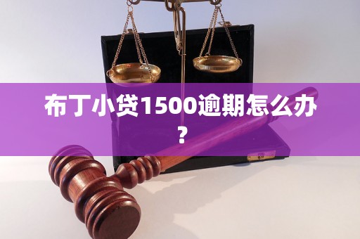 布丁小贷1500逾期怎么办？