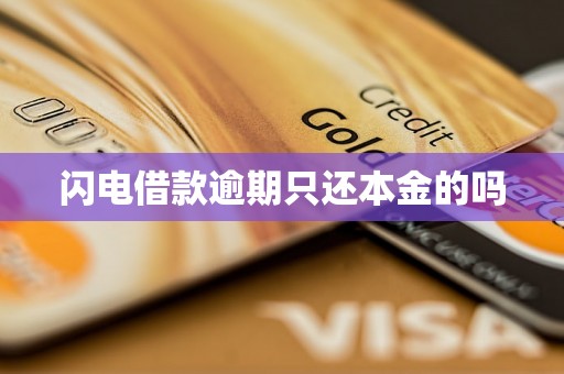 闪电借款逾期只还本金的吗