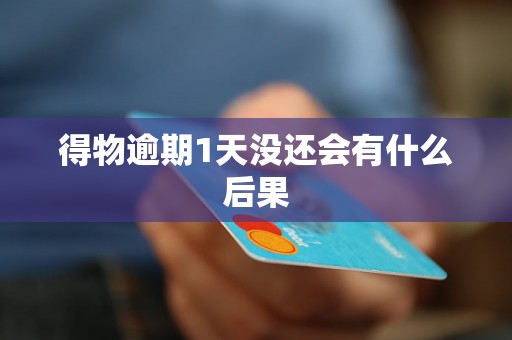 得物逾期1天没还会有什么后果