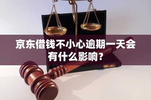 京东借钱不小心逾期一天会有什么影响？