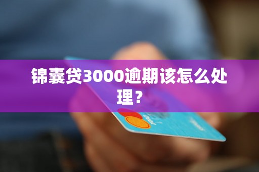 锦囊贷3000逾期该怎么处理？