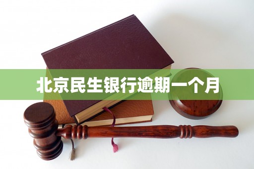 北京民生银行逾期一个月