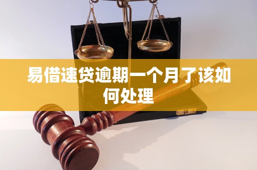 易借速贷逾期一个月了该如何处理 易借速贷逾期一个月了该如何处理