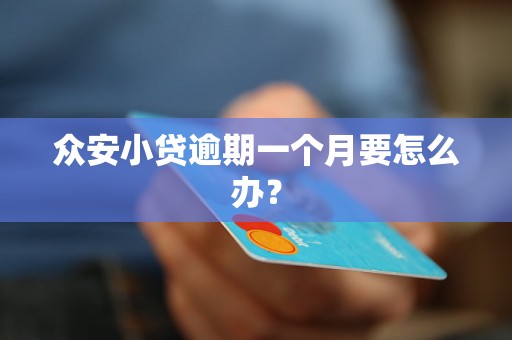 众安小贷逾期一个月要怎么办? 众安小贷逾期一个月要怎么办?