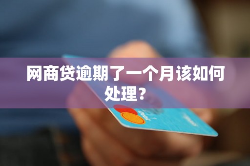 网商贷逾期了一个月该如何处理？