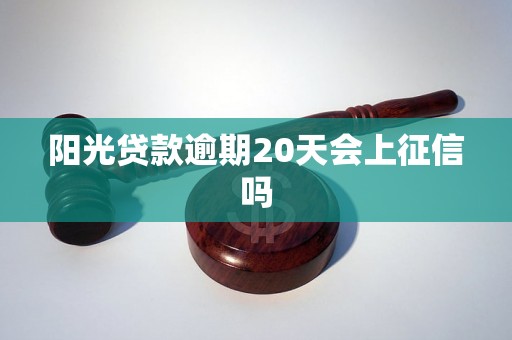 阳光贷款逾期20天会上征信吗 阳光贷款逾期20天会上征信吗