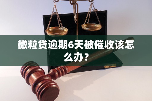 微粒贷逾期6天被催收该怎么办？