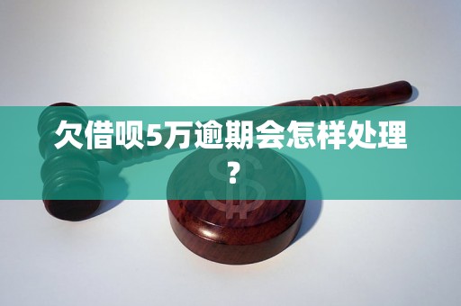 欠借呗5万逾期会怎样处理？