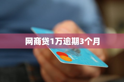网商贷1万逾期3个月