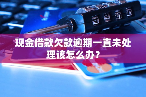 现金借款欠款逾期一直未处理该怎么办？