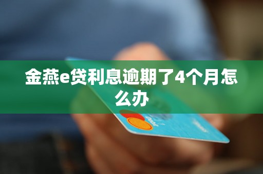 金燕e贷利息逾期了4个月怎么办