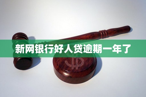 新网银行好人贷逾期一年了