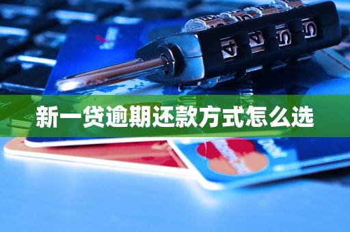 新一贷逾期还款方式怎么选