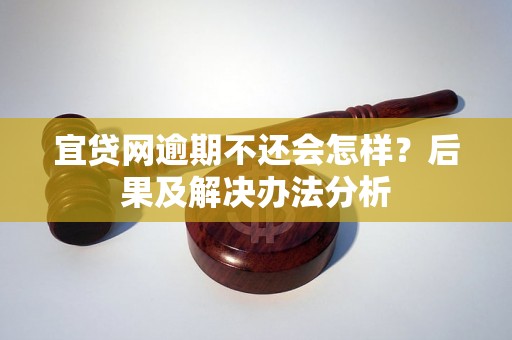 宜贷网逾期不还会怎样？后果及解决办法分析