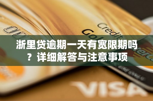 浙里贷逾期一天有宽限期吗？详细解答与注意事项