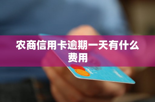 农商信用卡逾期一天有什么费用