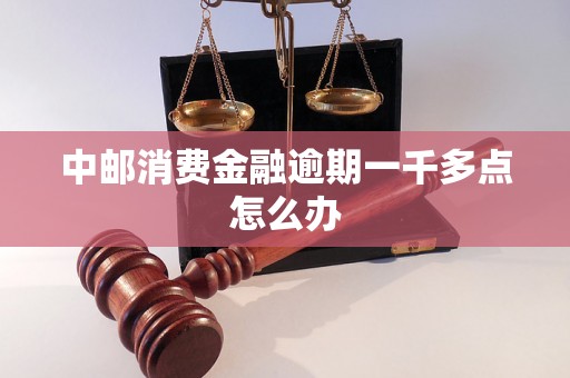 中邮消费金融逾期一千多点怎么办 中邮消费金融逾期一千多点怎么办
