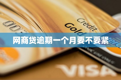 网商贷逾期一个月要不要紧 网商贷逾期一个月要不要紧