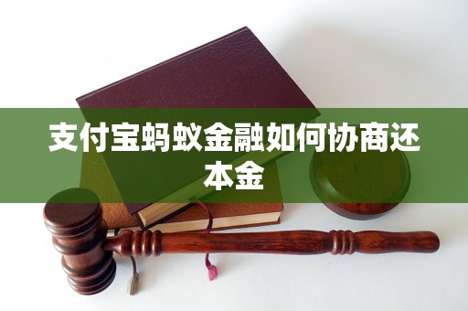 支付宝蚂蚁金融如何协商还本金