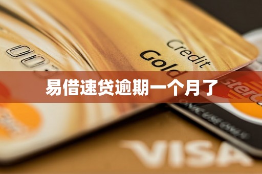 易借速贷逾期一个月了