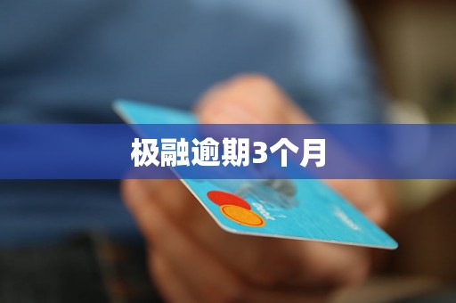 极融逾期3个月