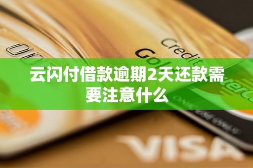 云闪付借款逾期2天还款需要注意什么