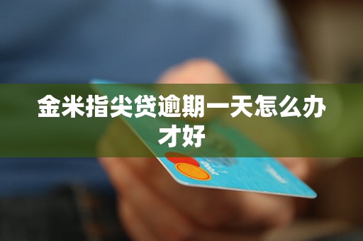 金米指尖贷逾期一天怎么办才好 金米指尖贷逾期一天怎么办才好
