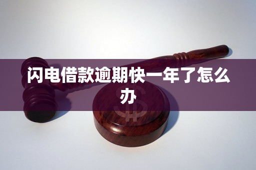 闪电借款逾期快一年了怎么办
